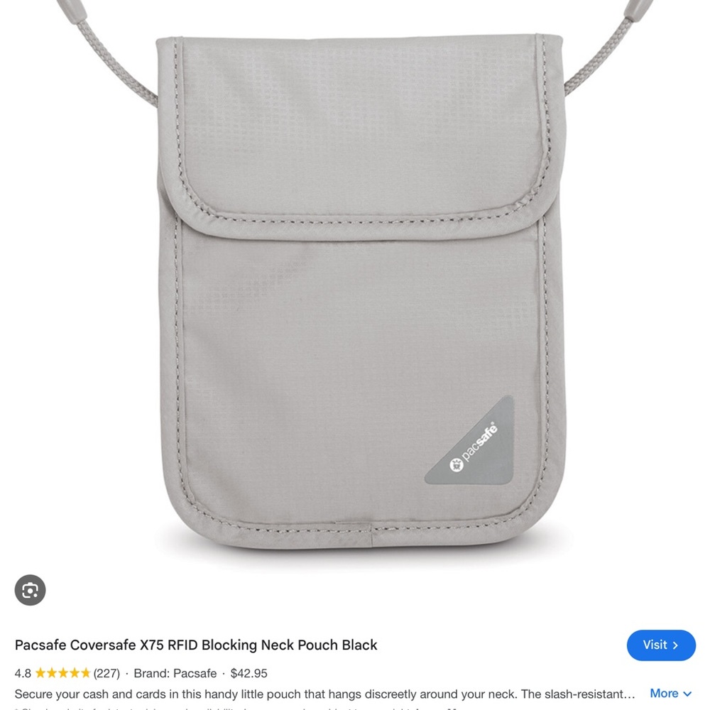Pacsafe Neck Pouch RFID Blocking Travel Wallet in Light Gray